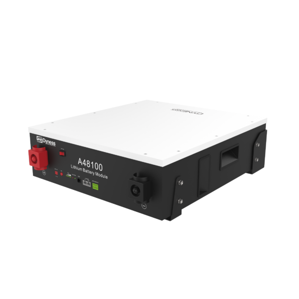Dyness 4.8kWh Lithium-Ion Battery