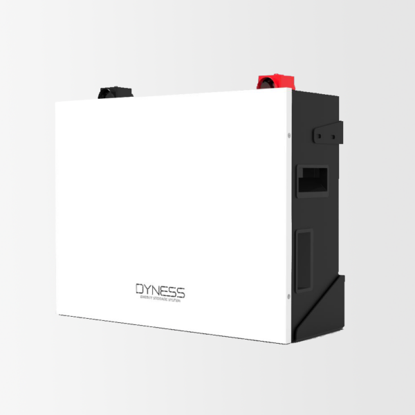 Dyness Lithium-ion Battery HV51100