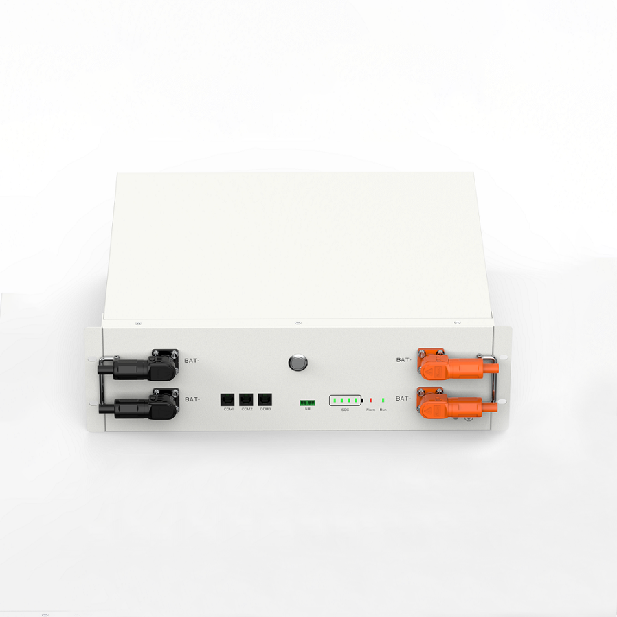 Sunwoda-Atrix-5.12KWH-51.2V-100AH-1