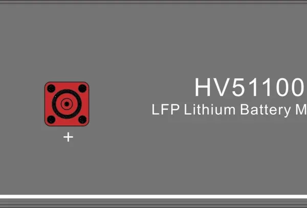 Dyness HV51100 module front from the manufacturer manual.
